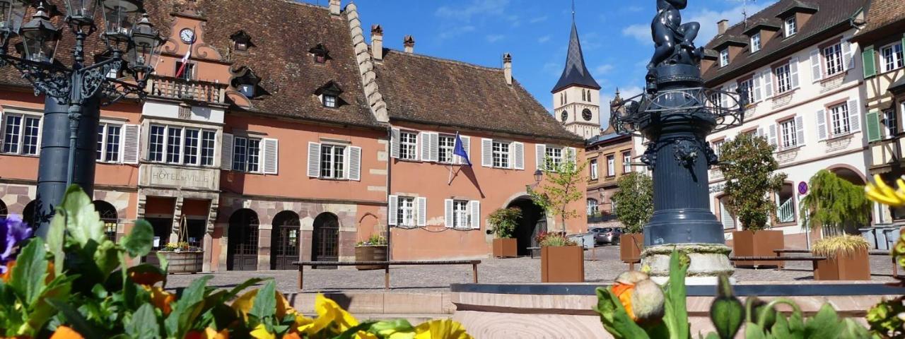 La Curiosite - Appartement 2 Chambres A Barr, Route Des Vins D'Alsace Экстерьер фото